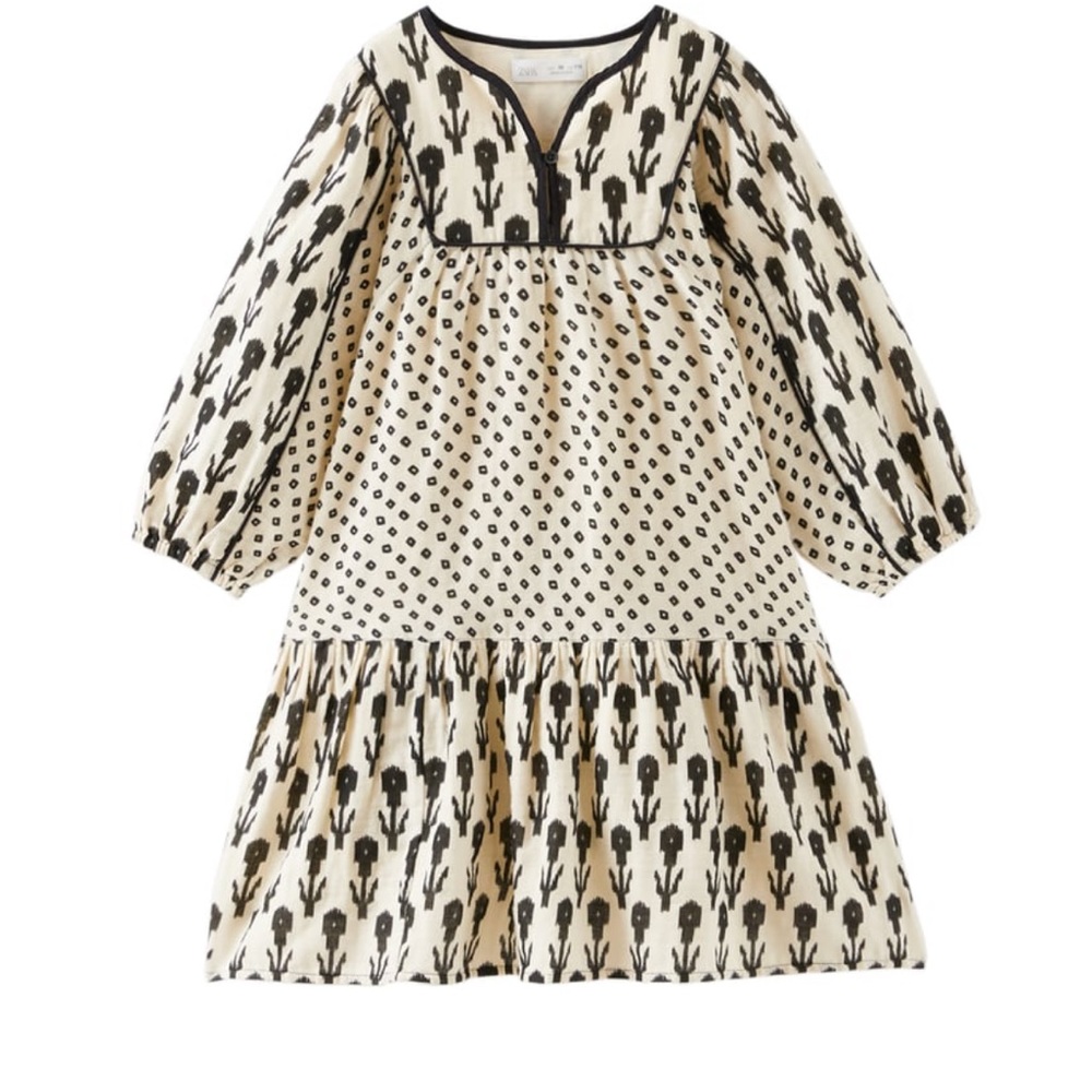 Zara dress